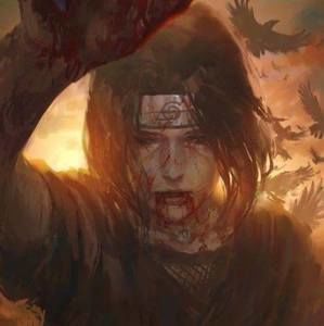 Meet your Posher, Luis